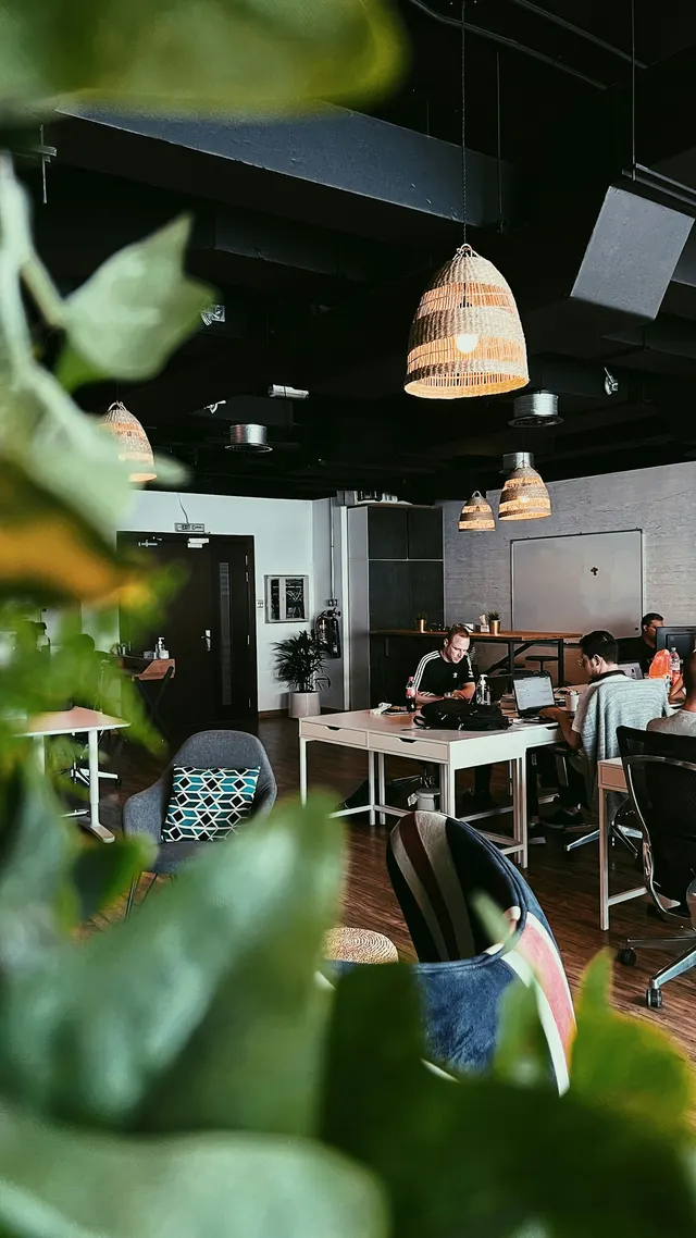 Vista de la oficina del estudio con mesas de trabajo y plantas